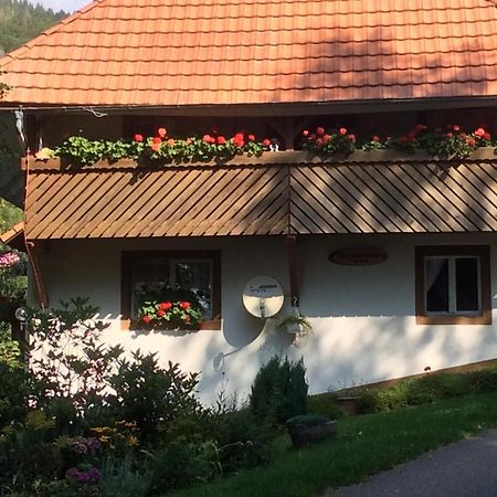 Ferienwohnung Zweilinden Штайнен Экстерьер фото