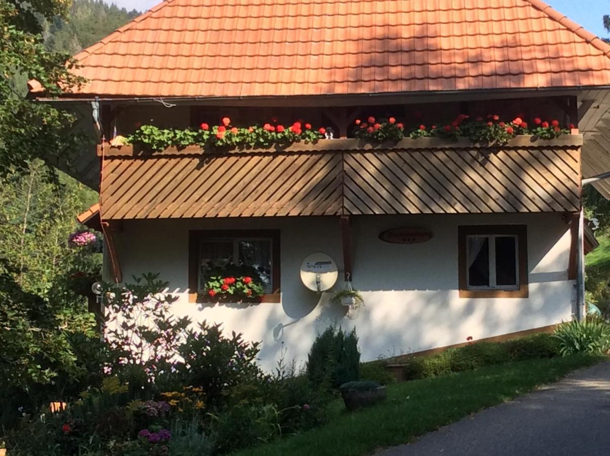 Ferienwohnung Zweilinden Штайнен Экстерьер фото